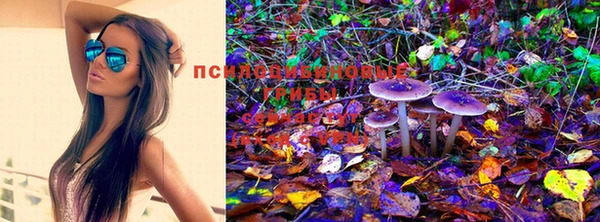 мдма Каменка