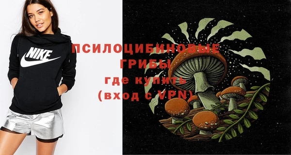 мдма Каменка