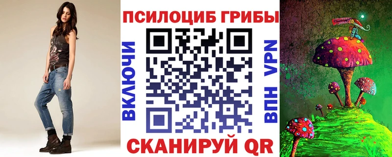 Купить где  Туран  Галлюциногенные грибы Cubensis 