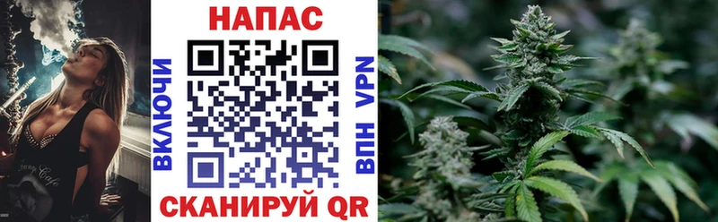 МАРИХУАНА тримм  Купить закладки  Туран 